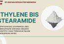 Distributor Ethylene Bis Stearamide Terpercaya