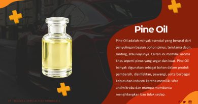 Kesetimbangan Pine Oil